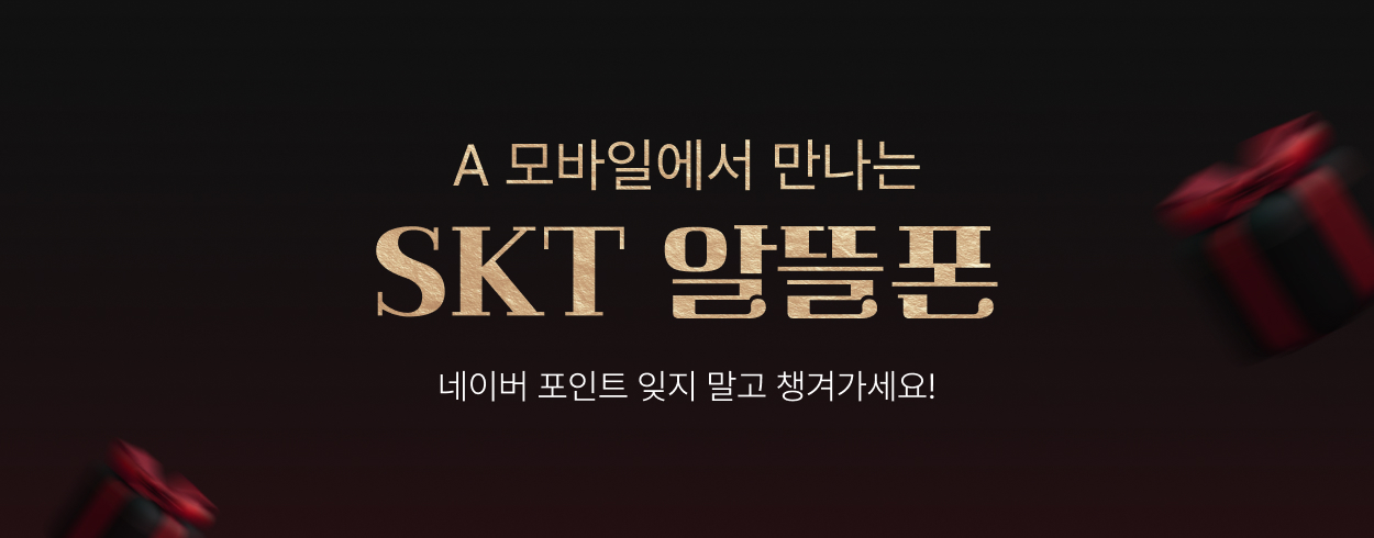 12월 SKT 프로모션