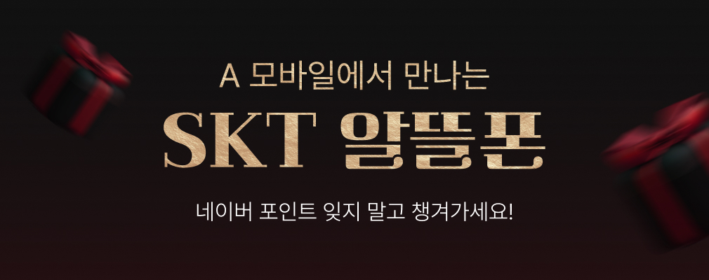 12월 SKT 프로모션